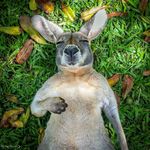 Michael Baynes - @michaelbaynesphotography - Instagram