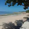 michael Ibayan - @michaelibayan0 - TikTok