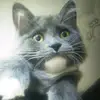 Michael bayers lewis - @michael.bayers.le - TikTok