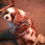 Michael Bayes - @michael.bayes.55 - Instagram
