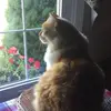 michaelbayes905 - @michaelbayes905 - TikTok