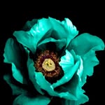 Michael Bayley - @michael.bayley.3591 - Instagram