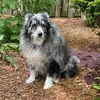 michaelbayles355 - @michaelbayles355 - TikTok