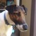 Michael Baylis - Facebook