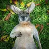 Michael Baynes - @michael.baynes - TikTok