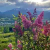 michaelabaysinger - @michaelabaysinger - TikTok