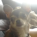 Michael Baza - @michael_baza - Instagram