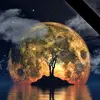 Michael Bazile - @michael.bazile6 - TikTok