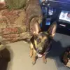 michaelbazzell7 - @michael.bazzell3 - TikTok