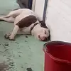 Michael Bazzelle - @michael.bazzelle1 - TikTok