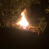 michaelbeachler37 - @michaelbeachler37 - TikTok