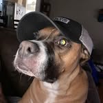 Michael Beane - @bigguy3039 - Instagram