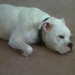 Michael Beaver - @michael.beaver.902 - Instagram