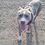 Michael Chino Bebber - @michaelchinobebber - Instagram