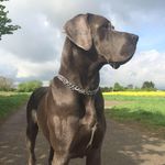 Michael Bechthold - @micha_el_bechthold - Instagram
