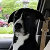 michaelrbecht - @michaelrbecht - TikTok