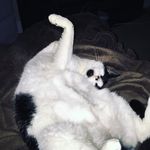 Michael Becker - @michael._.becker - Instagram