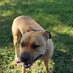 Michael Bedish - @michaelbedish - Instagram