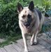 Mike Bedsole - Facebook