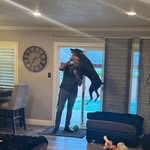 Michael Bee - @mycalbee - Instagram
