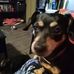 Michael Beebe - Facebook