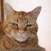 Michael Beebe - Facebook
