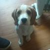 michael behan - @michael.behan2 - TikTok