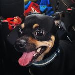 MichaelBeharry - @michaelbeharrrygg - Instagram
