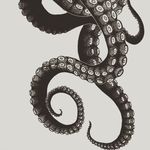 Michael Beland - @michael.beland.908 - Instagram