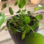 Michael Belleville - @michael_belleville - Instagram