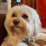 @michaelbellman - Instagram