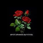 michael belman - @gemini_bouquets_by_michael - Instagram