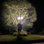 Michael Belyea - @michael.belyea - Instagram