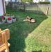 Michael Belz - Facebook