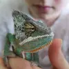 Michael Belz - @michaelbelz - TikTok