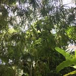Michael Benhoff - @mike.benhoff - Instagram