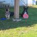 Michael Benincasa - Facebook