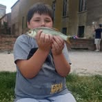 Michael Bentivegna - Facebook