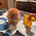 Michael Berchtold - Facebook