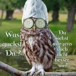 Michael Berchtold - @superberchti - Instagram