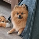 Michael Berendsen - @michaelberendsen - Instagram