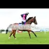 michaelberesford6 - @michaelberesford6 - TikTok