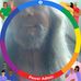 Michael Berkemeier - Facebook