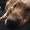 Michael L. Berman - @michaell.berman - TikTok