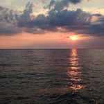 Michael Berney - @michaelberney - Instagram