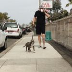 Michael Bernstein - @mikeberny_ - Instagram