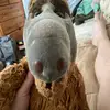 Michael Bernstein - @michael.bernstein3 - TikTok