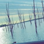 Michael - @_michael_berrios_ - Instagram