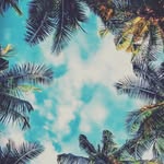 Michael Jose Berroa Taveras - @land.scapes_23 - Instagram