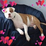 Michael Berta - @mbert11 - Instagram